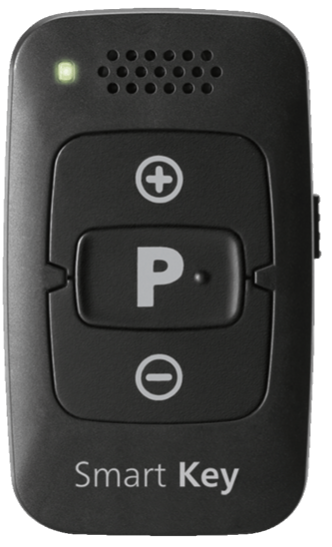Rexton Smart Key handheld remote