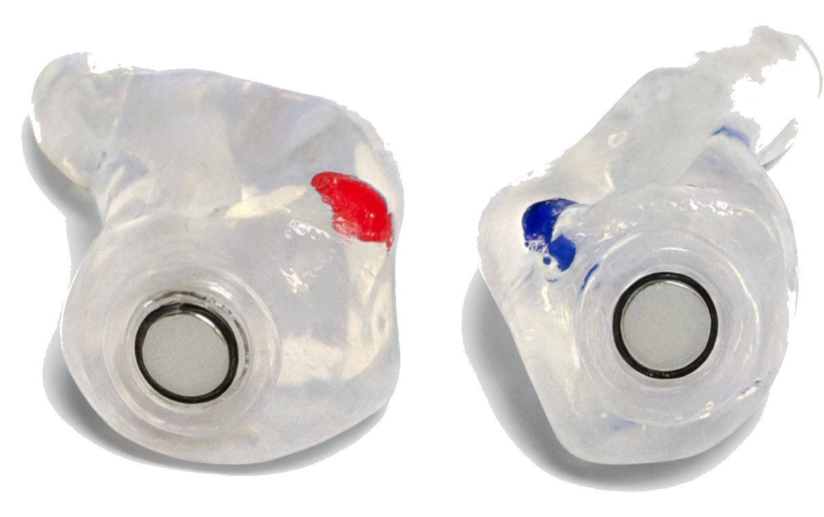 Perfect Fit CMP custom musician ear plugs, clear